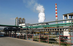 煤焦油及深加工市场稳势运行为主