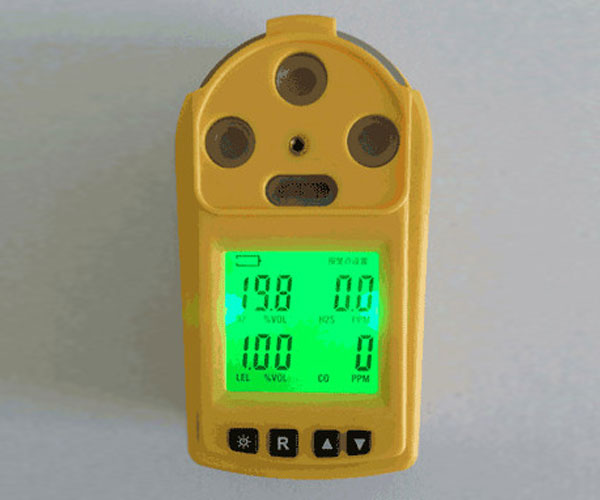 CD4气体安全检测仪器