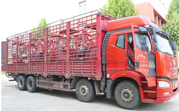 17小型挖掘机现货速发