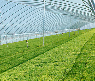 17小型挖掘机适用范围广