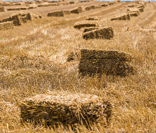 17小型挖掘机适用范围广