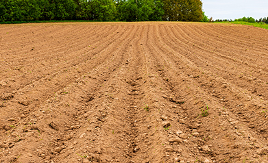 23小型挖掘机田地松土