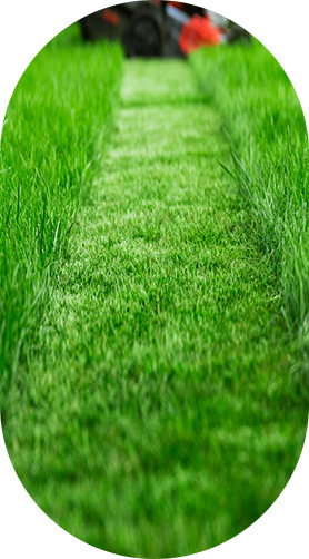 550履带式遥控割草机效果展示