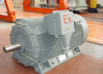 YB系列隔爆型三相异步电机