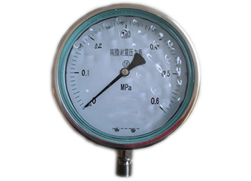 YMN系列隔膜式耐振压力表