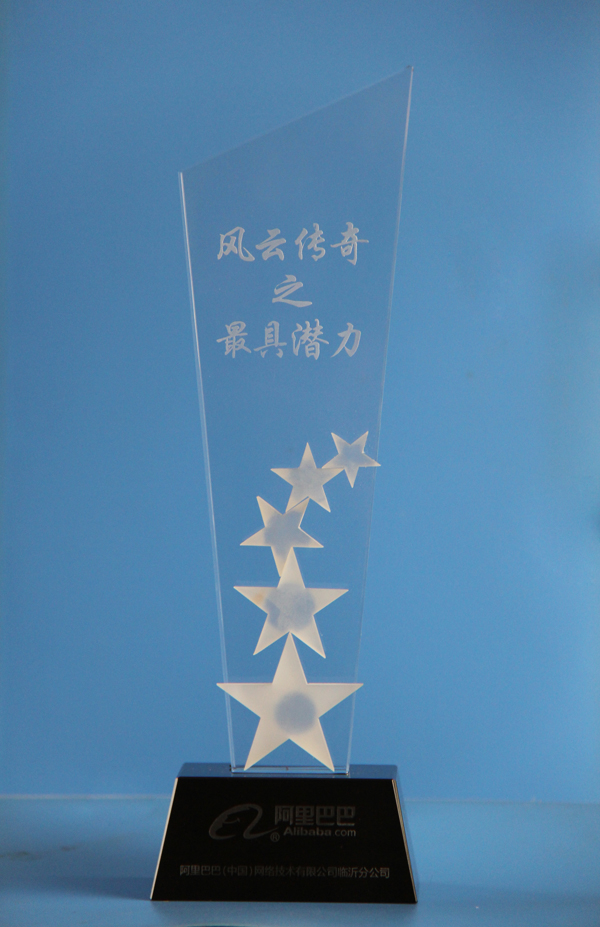 /山东中煤工矿集团荣获2012鲁西南十大最具潜力网商奖/