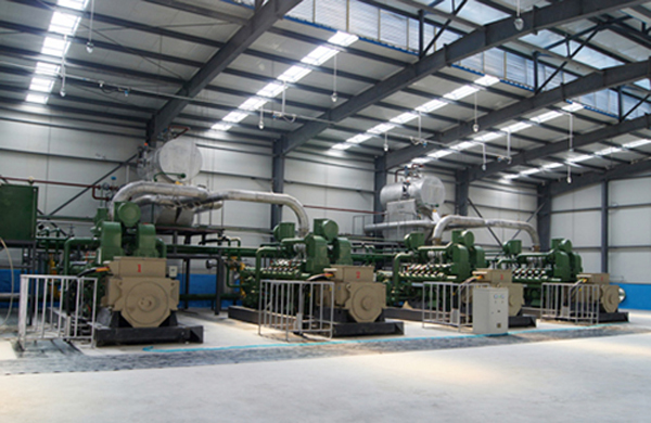 /国家煤矿安全监察局办公室关于印发《2012年煤矿瓦斯防治监管监察工作要点》的通知/