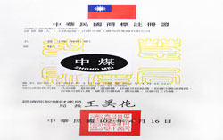 热烈庆祝山东中煤工矿集团商标在台湾地区成功注册