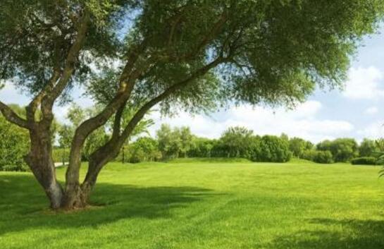 新一轮生态环境保护工作周期开启 环保督察力度加大