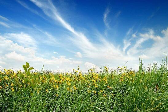 蓝天保卫计划即将发布 仪器仪表企业注意有这些变化