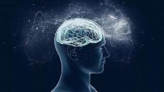 类脑智能将成为人工智能发展的新路径